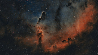 Elephant's Trunk Nebula, Tom Elphick